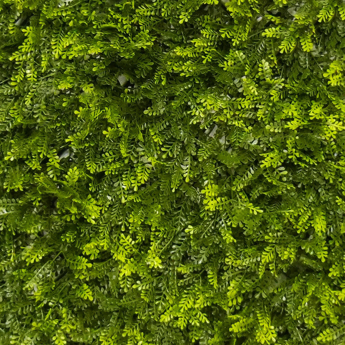 Panel de Jardín Vertical Artificial 50x50 cm Muro Verde
