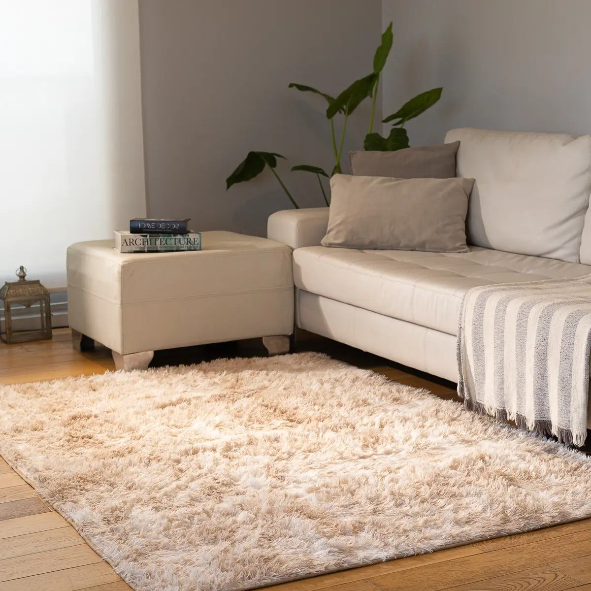 Alfombra Nórdica Peluda 200x140 cm Pelo Largo Living
